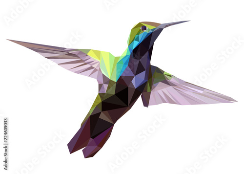 Hummingbird low poly design, geometric design
