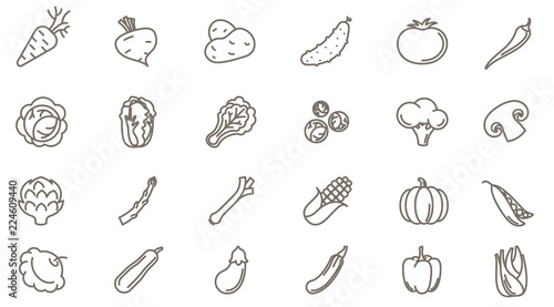 vegetables vector icon set © mushakesa