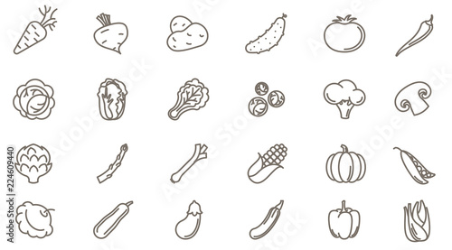  vegetables vector icon set