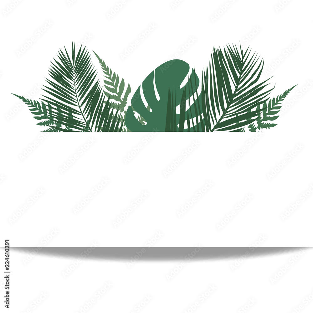 Fotografie Tropical leaves frond frame vector illustration