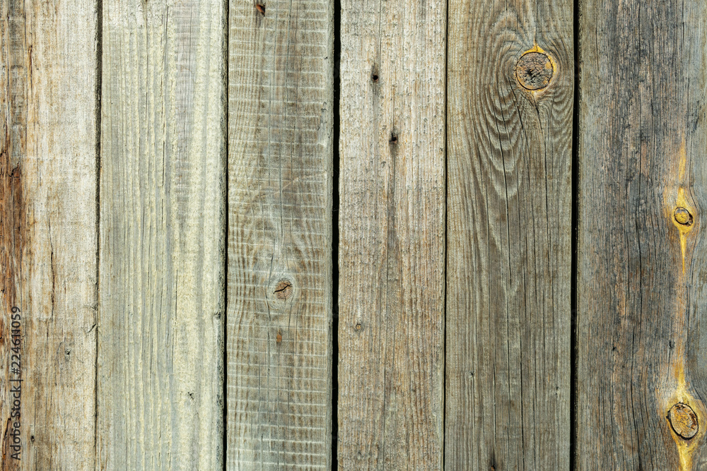 Naklejka premium texture of a wall from old wooden boards with knots