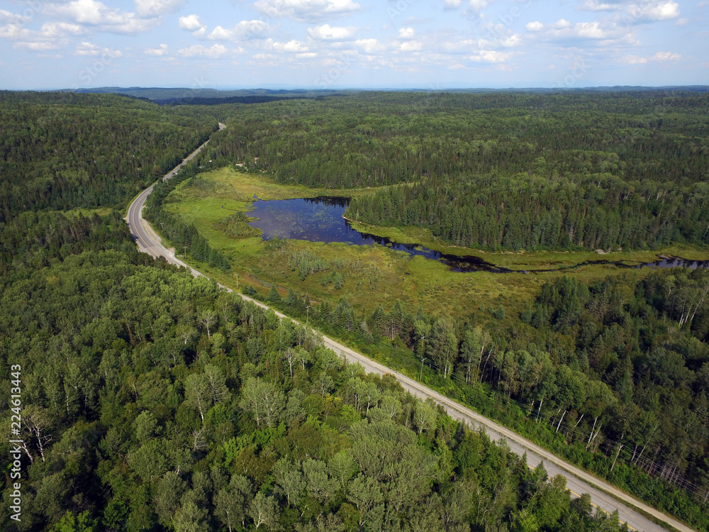Aerial view of road in forest with bog