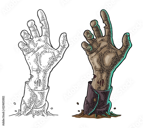 Zombie hand with claw. Vector black vintage engraving