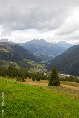 pastures in Alps, South Tirol, Italy © Tomtsya