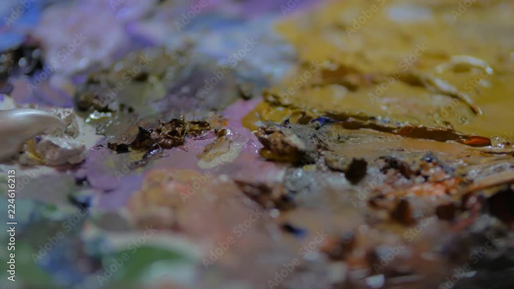 Extremem close up of paint palette colors rack focus.mov Extremem close up of paint palette colors rack focus.mov
