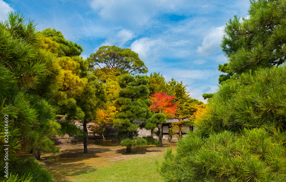 Ninomaru Garden in Nijo Castle Kyoto, Japan