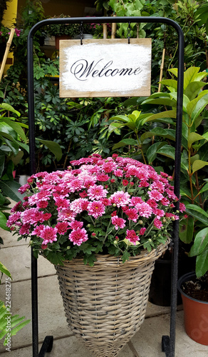 Beautiful flowers in pot with welcome sign