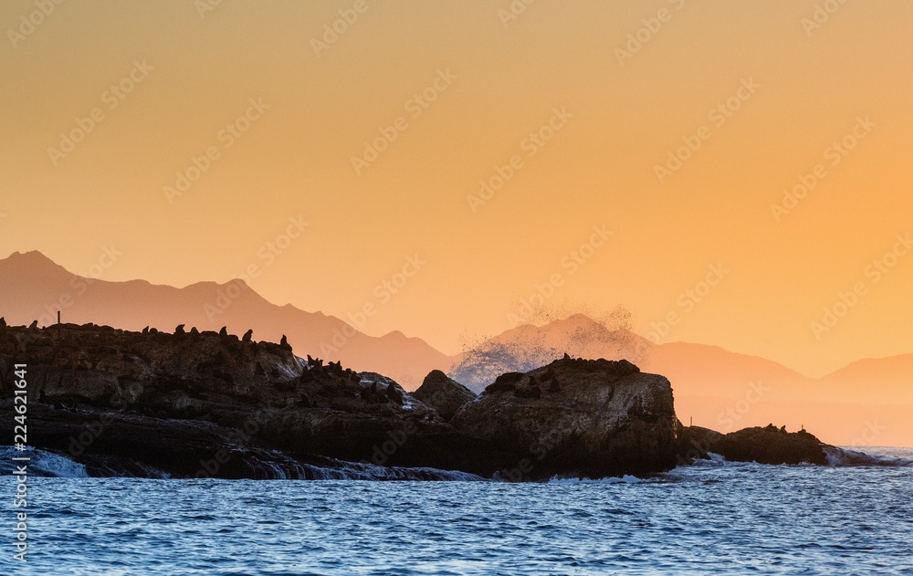 Seascape in the morning.  The colony of seals on the island. Red Dawn Sky and Silhouettes of Mountains on the Horizon. South Africa.