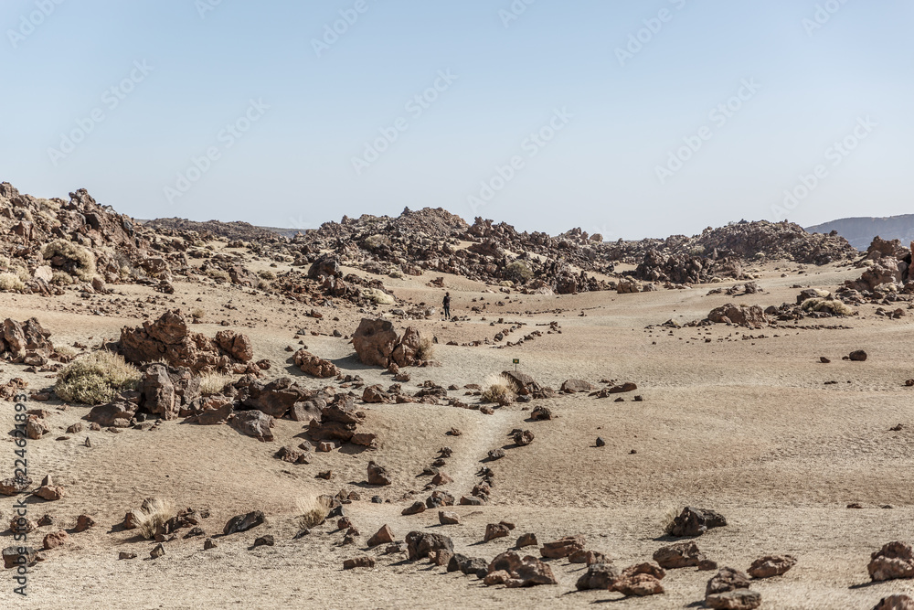Desert landscape in the famous Teide National Park on the island of Tenerife with many rocks, Spain Desert landscape in the famous Teide National Park on the island of Tenerife with many rocks, Spain