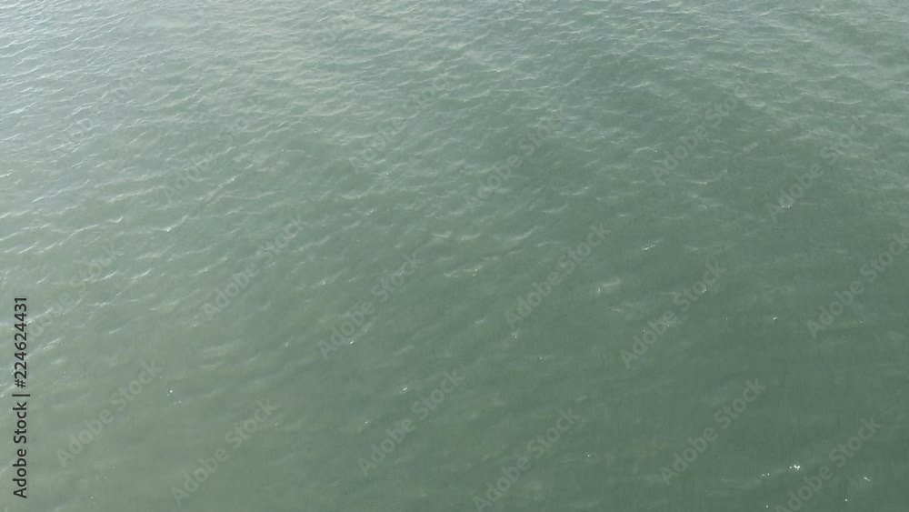 Aerial View of Ocean as Dolphins swim in Gulf Coast Aerial View of Ocean as Dolphins swim in Gulf Coast