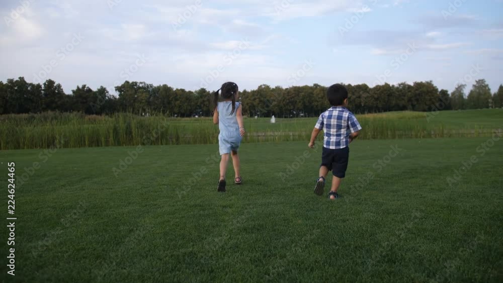 Rear view of two asian carefree little siblings holding hands running in summer park. Positive playful preschool sister holding hand of younger brother playing, having fun while running on green lawn. Rear view of two asian carefree little siblings holding hands running in summer park. Positive playful preschool sister holding hand of younger brother playing, having fun while running on green lawn.