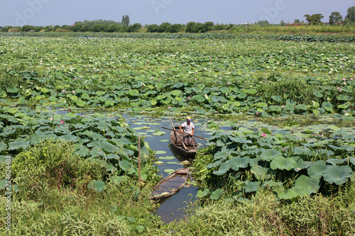 Natural scenery of dongting lake in China photo