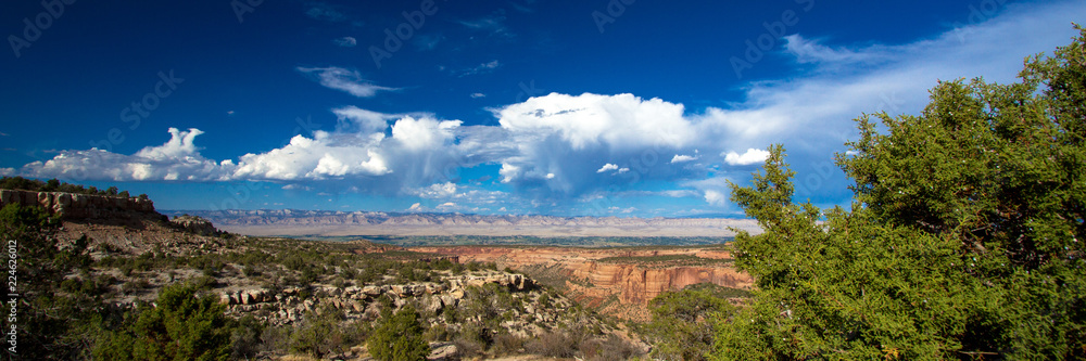 Panorama of the canyons, bluffs, trees, distant mountains, and vast sky of Colorado National Monument