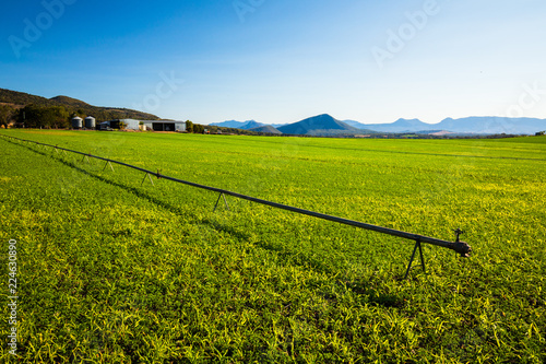 Irrigation Pipe and Field photo