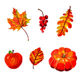 Autumn elements set for design: print on fabric, decoration of postcards, notebooks, magazine publications, websites, etc. Created in mixed manual technique.  Isolated images on white background.