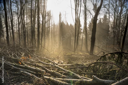 Obraz Krajobraz Pöstlingberg Linz Fog