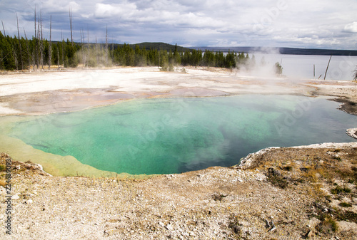 Yellowstone Thermal Feature