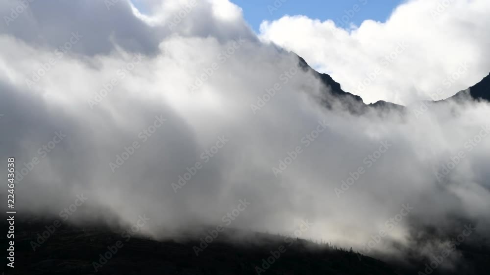 Clouds flowing over forest in the mountains Clouds flowing over forest in the mountains