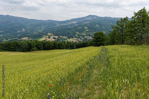 Ialien - Emilia-Romagna - Piantonia Umland photo