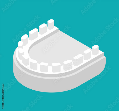 Gypsum jaw for dentist isolated. Cast of teeth. Dentist treatment. Dentistry Vector illustration