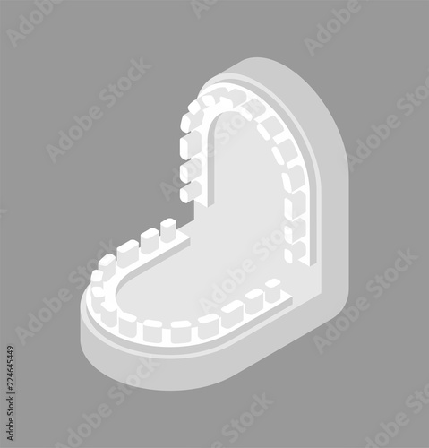 Gypsum jaw for dentist isolated. Cast of teeth. Dentist treatment. Dentistry Vector illustration