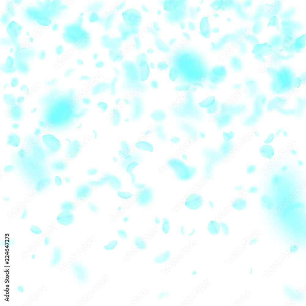 Turquoise flower petals falling down. Fresh romant Turquoise flower petals falling down. Fresh romant