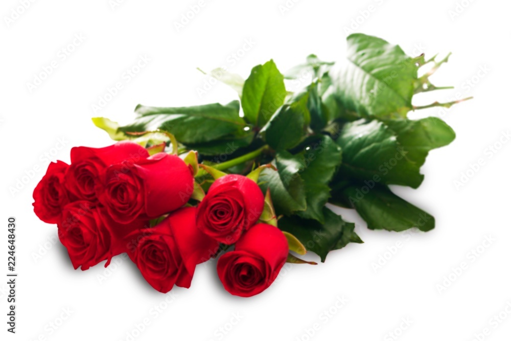 Fototapeta premium Bunch of red roses