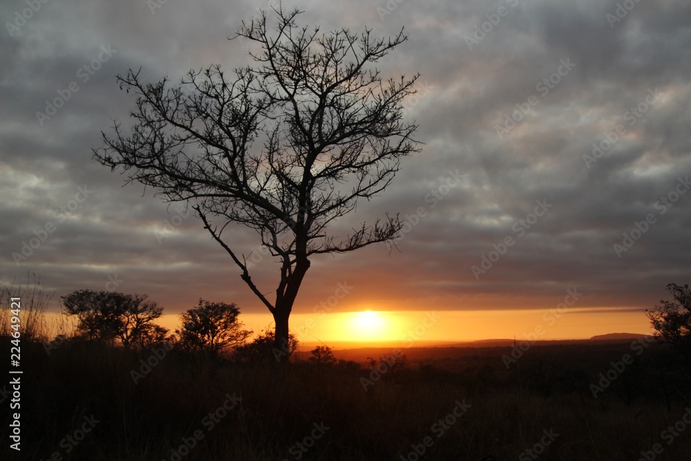 Sunrise in Africa