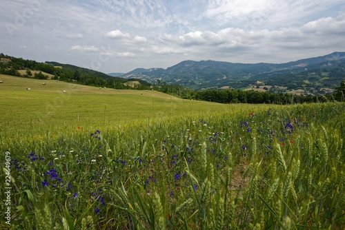 Ialien - Emilia-Romagna - Piantonia Umland photo