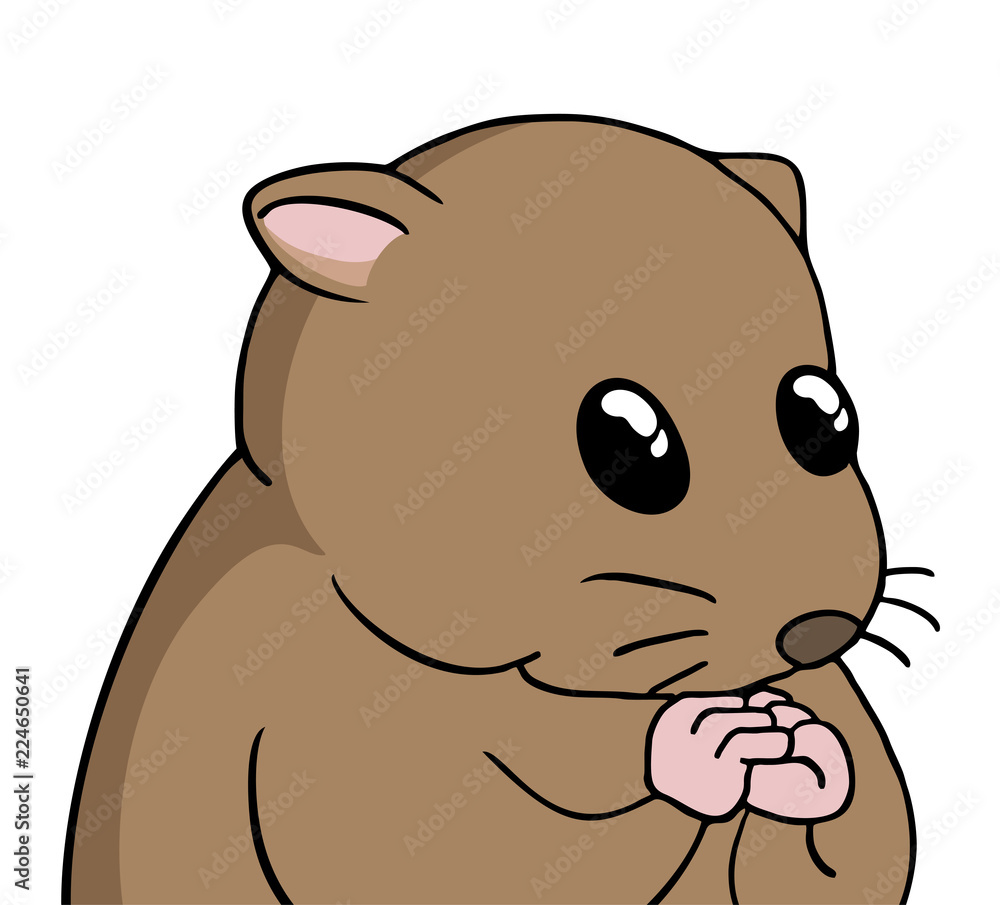 adorable hamster illustration adorable hamster illustration