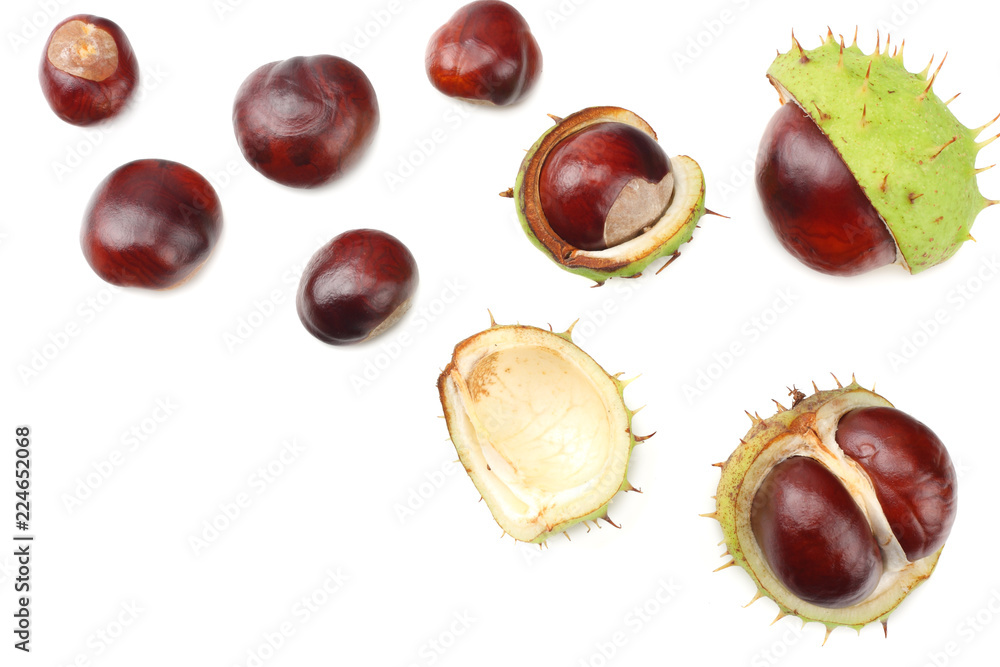 chestnuts isolated on white background. top view chestnuts isolated on white background. top view