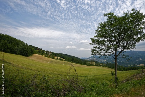 Ialien - Emilia-Romagna - Piantonia Umland photo