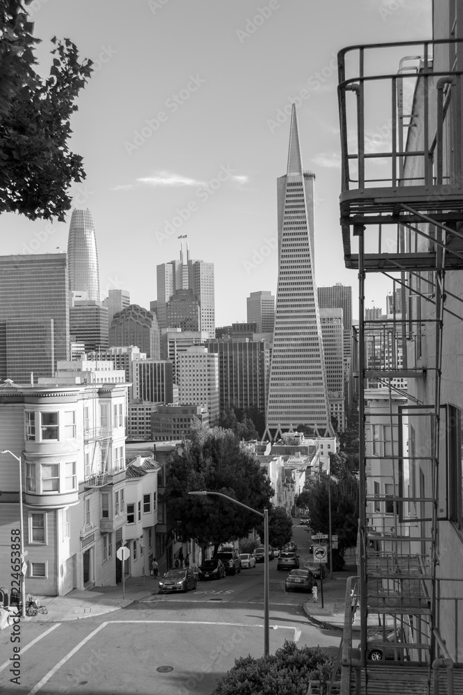 Fototapeta premium Downtown San Francisco
