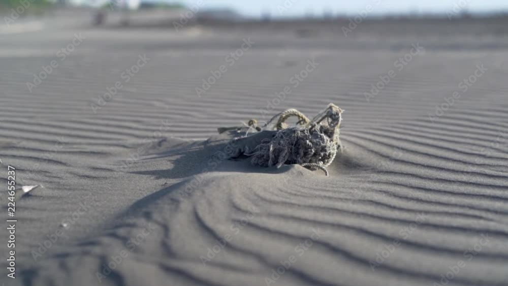 Decaying rope half buried in the sand of a beach in Nanliao beach ...