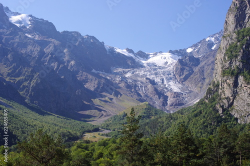 Valley in the mountains, overgrown with wood and glacier in the distance