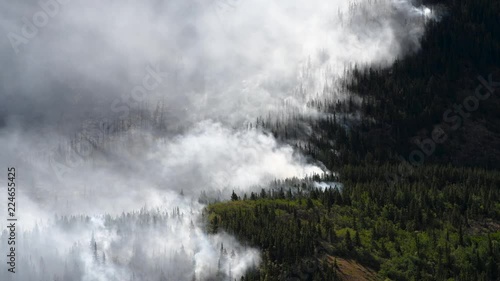 Smoke rising from wildfire in Carcross, Yukon