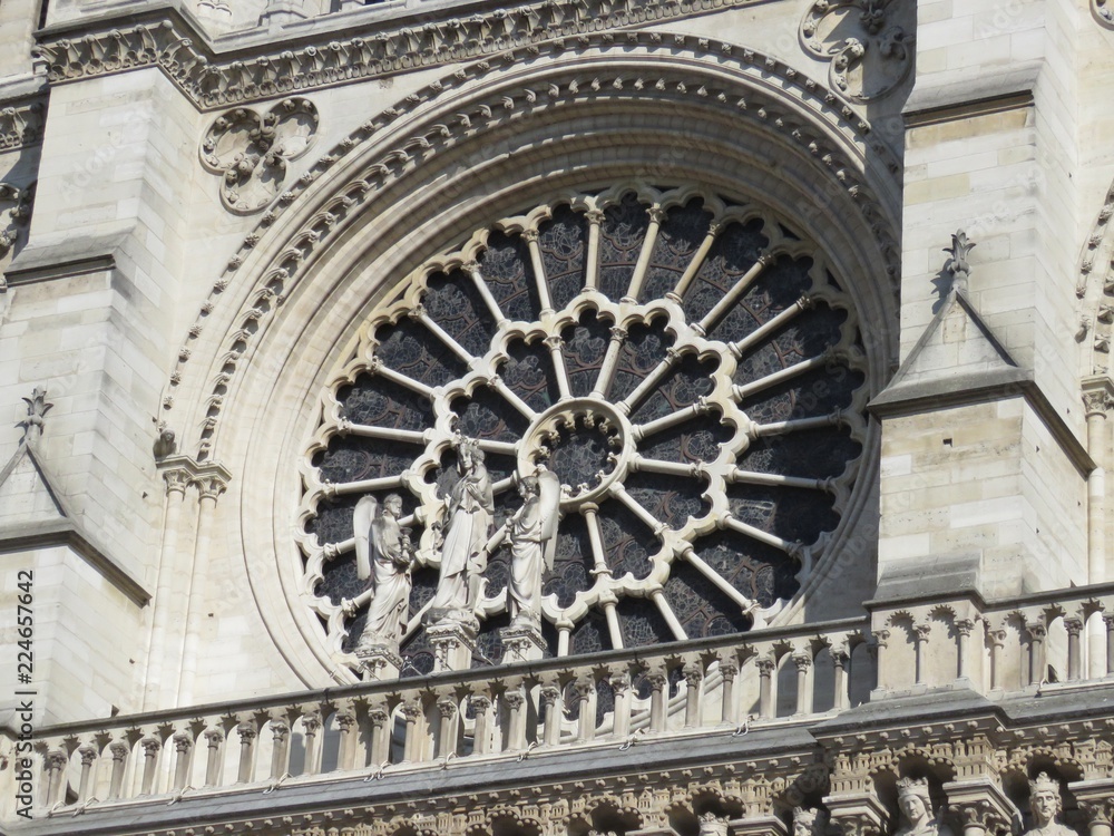 фрагмент, собор парижской богоматери, нотр дам де пари