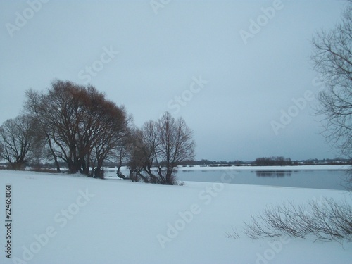 winter landscape with river and trees