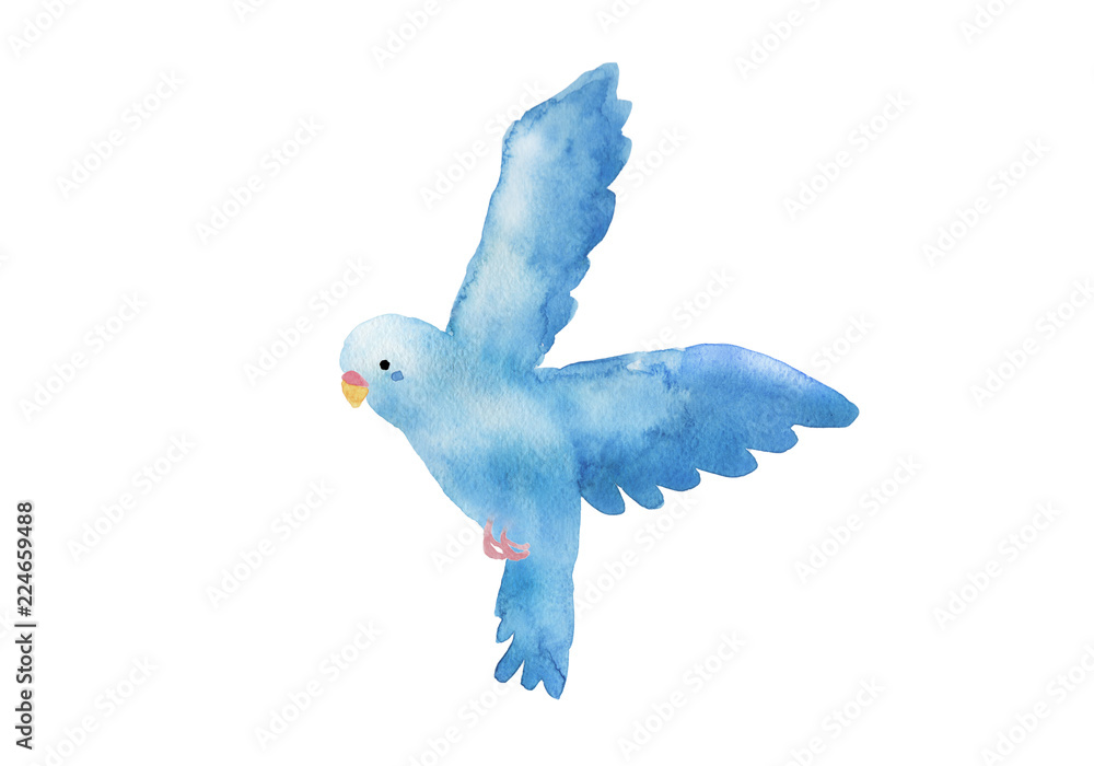 青い鳥 水彩イラスト Stock Illustration Adobe Stock