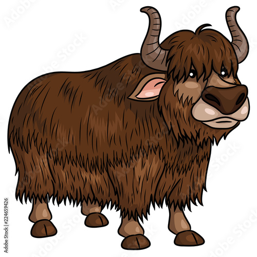 Yak Cartoon. Illustration of cute cartoon yak.
