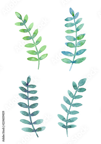 飾り用 緑色の葉っぱ 水彩イラスト Stock イラスト Adobe Stock