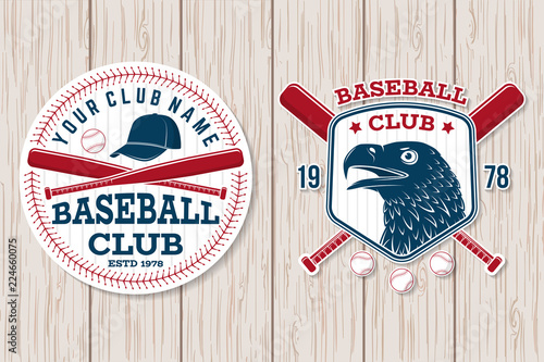 Baseball club badge. Vector illustration. Concept for shirt or logo, print, stamp or tee.