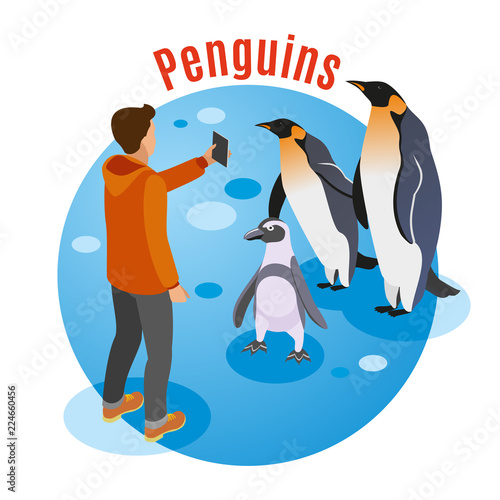 Photo With Penguins Background