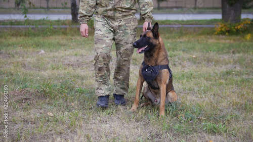 A trainer and his trained german shepherd dog