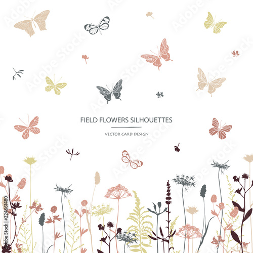 Vector silhouettes collection. Set of field flowers, herbs and butterflies. Card design. Label design.