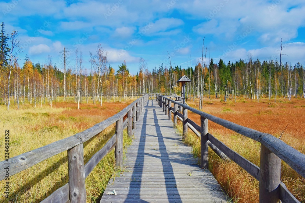 Autumnal landscape, moorland path Autumnal landscape, moorland path
