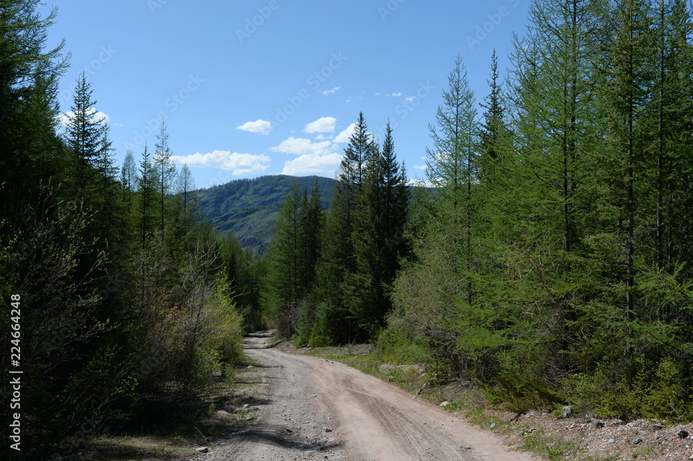 Mountain road in the area of the river Yarlyamry. Mountain Altai. Siberia. Russia