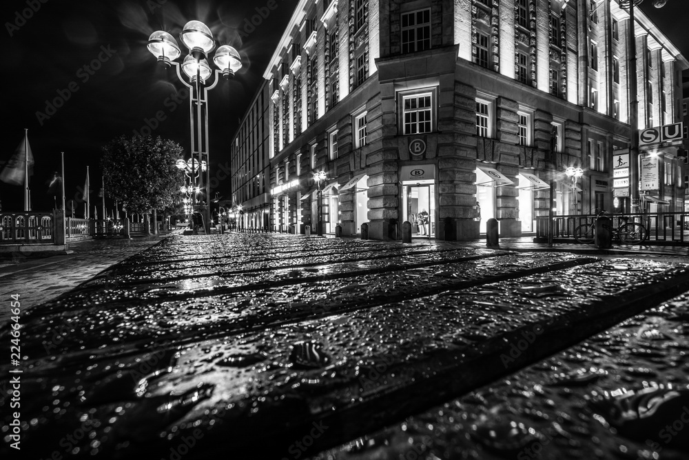 Hamburg City Hall is the seat of local government of the Free and Hanseatic City of Hamburg, Germany. Amazing reflections on the ground. Wet nasty weather.