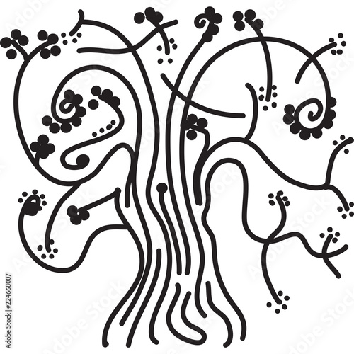 disegni