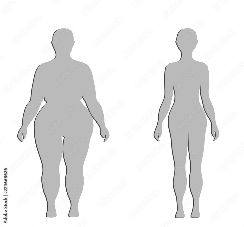 silhouettes of a thick and normal female figure. vector illustration. silhouettes of a thick and normal female figure. vector illustration.